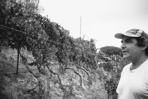 Raffaele Moccia Natural Winemaker of Agnanum, Natural Wine, Heroic Viticultural, Winery in Campania, Southern Italy