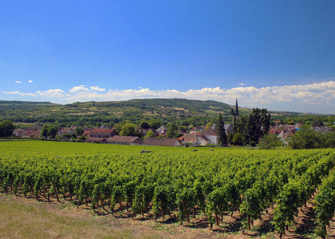 View of some vineyards and buildings in Burgundy, wine region, natural wine, primal wine - primalwine.com