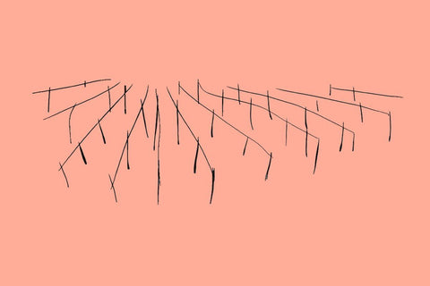 Blog post on Terroir and why it's important in natural wine - primalwine.com
