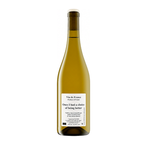 Anders Frederik Steen's 2021 'Once I had a choice of being better' is an organic orange wine from Ardèche, France, made from a field blend