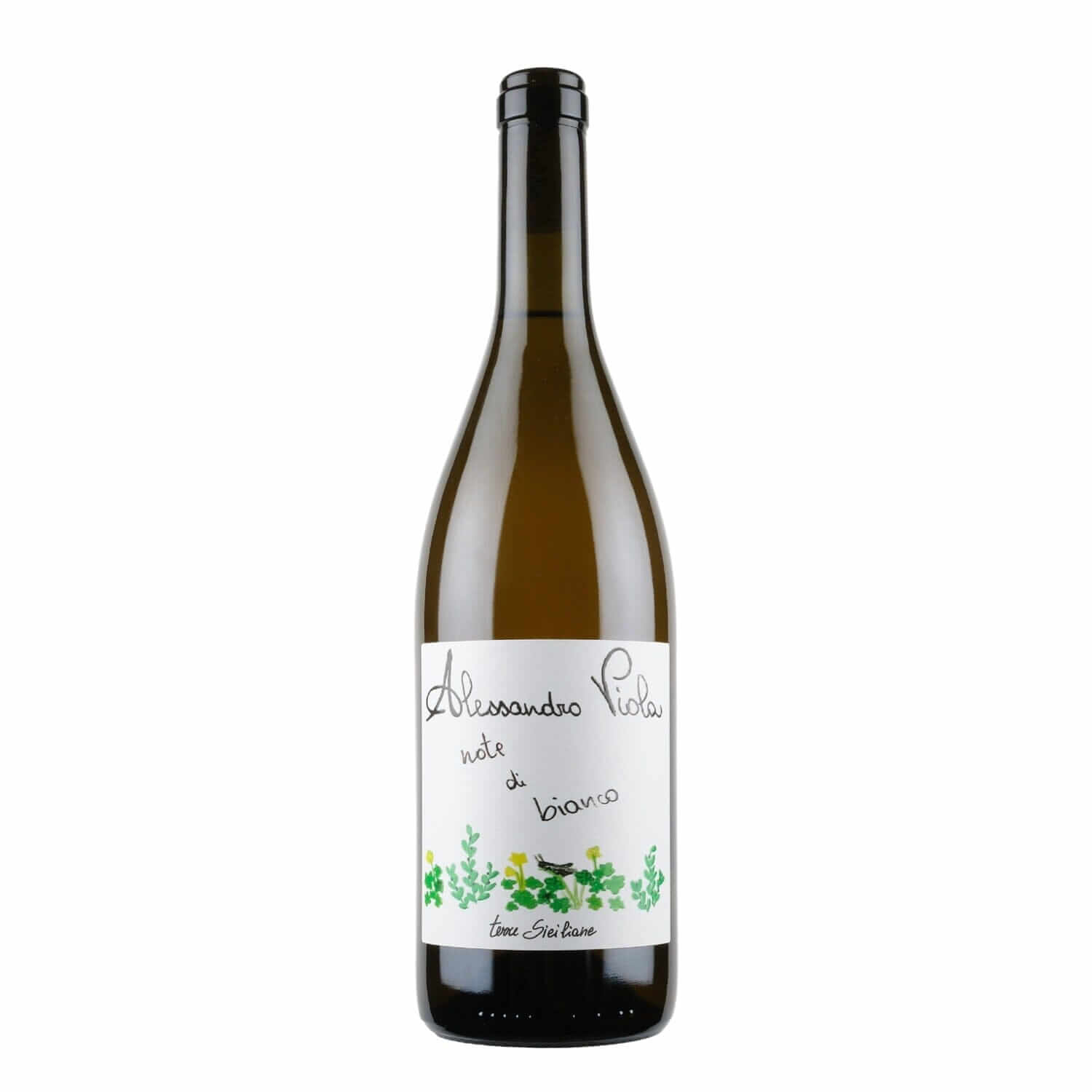 alessandro-viola-note-di-