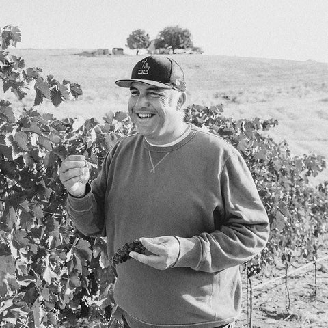 Photo of Field Recordings in the vineyards, buy classic and natural wine online on Primal Wine, the best wine shop in the United States – primalwine.com