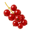 Fresh bunch of vibrant red currants on a green background, showcasing their glossy texture and natural beauty.