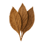Dried brown bay leaves arranged in a cluster, highlighting their texture and intricate veins.