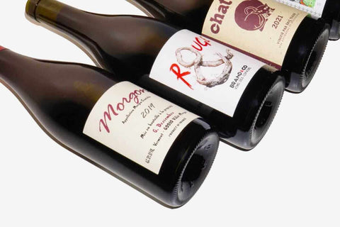 Natural wine bottles against a white backdrop