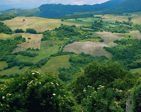 A Landscape in Molise, photo for our blog series Italian Wine Regions; natural wine, organic wine - primalwine.com