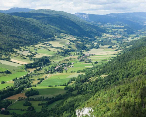 Auvergne Natural Wine Region - primalwine.com