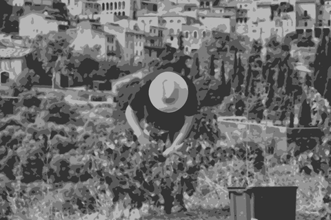 Abbazia San Giorgio — natural wine producer