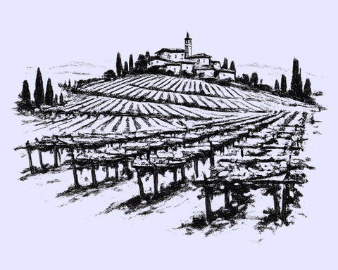 Pencil color illustration of Valpolicella - primalwine.com