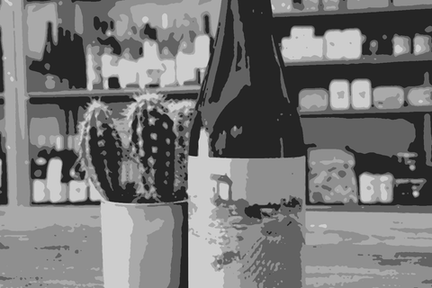 Agricola Foppiani — natural wine producer