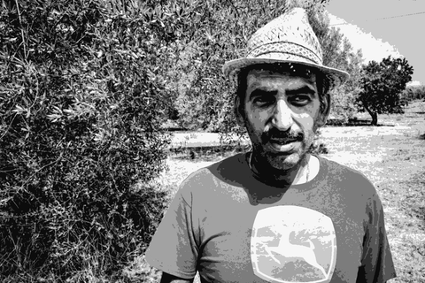 Agricola Marino — natural wine producer