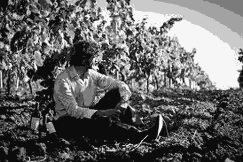 Alessandro Viola, Sicilian Natural Wine Master — natural wine producer