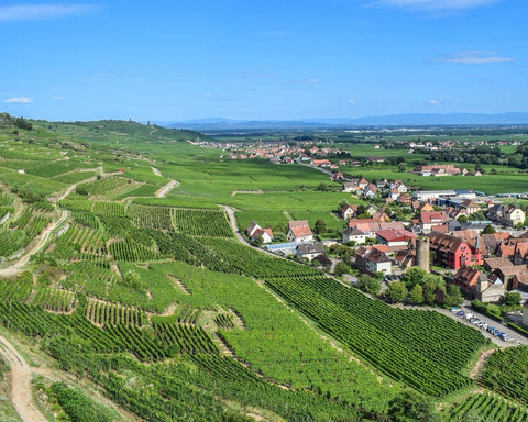 Photo of Alsace for our French Region Profile, one of the best regions for Natural Wine - primalwine.com