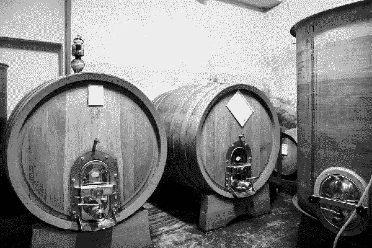 Cellar for natural wine at Azienda Agricola Imazio Colline Novaresi
