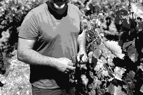 Benjamin Taillandier — natural wine producer