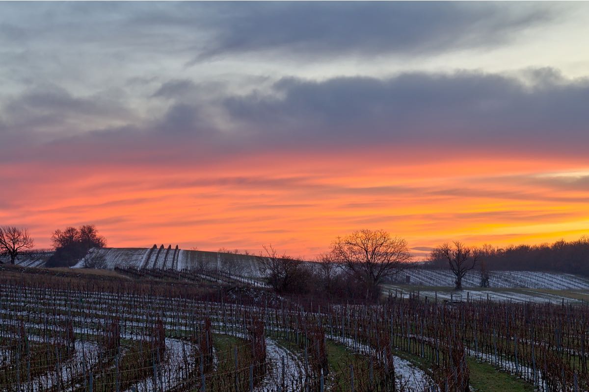 Blog Burgenland Sunset with Vineyards, Natural Wine, Primal Wine - primalwine.com