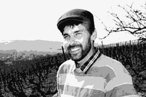 Brand — natural wine producer