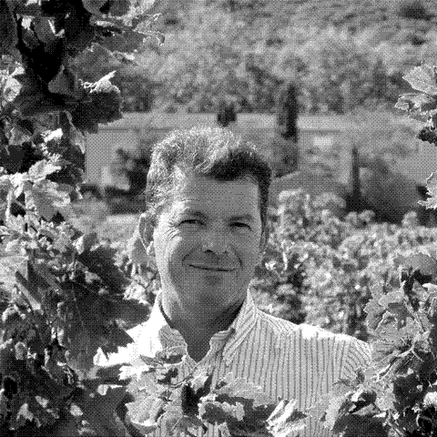 Bruno Laboucarié, natural wine producer at Domaine de Fontsainte, in his vineyard in Corbières, Languedoc, France