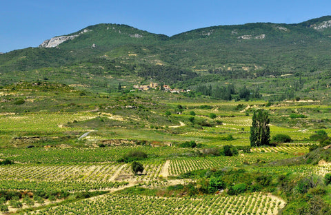 Rioja | Spanish Wine Regions