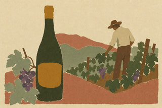 Illustration of a dark green wine bottle with a gold label and a bunch of purple grapes, beside a grower in a wide-brimmed hat working the vines on a red hillside