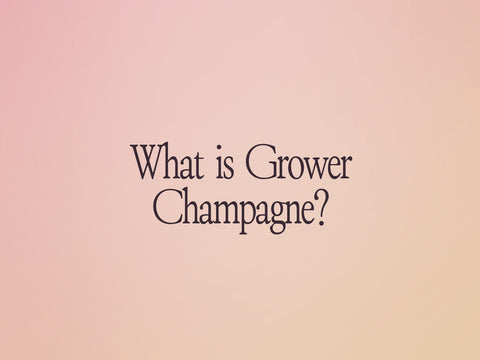 What is Grower Champagne?, a Primal Wine guide