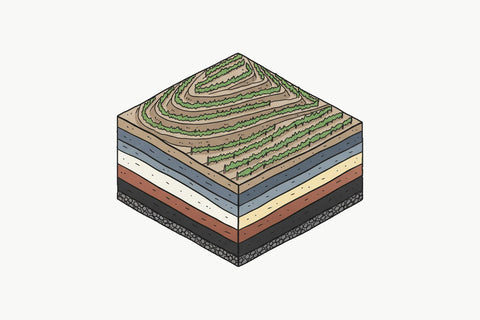 Drawing of a terraced vineyard hill cut away to show layers of different soils