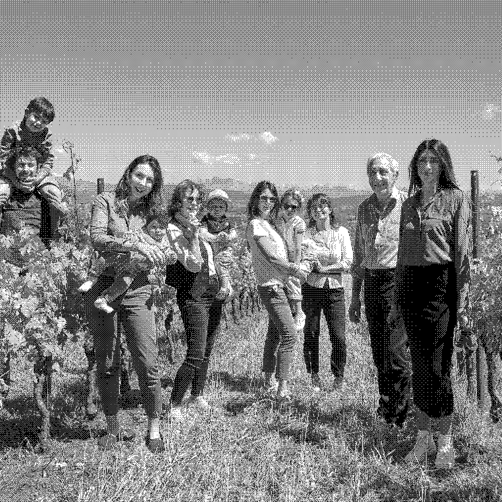 The Terraneo family of Castelvecchio, natural wine producer in Sagrado, Carso, Friuli-Venezia Giulia, Italy, standing in their vineyard