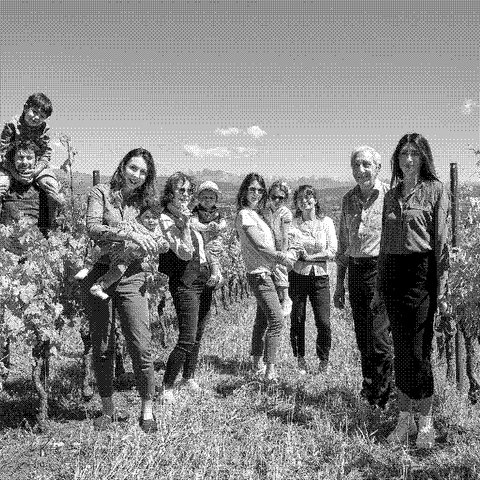 The Terraneo family of Castelvecchio, natural wine producer in Sagrado, Carso, Friuli-Venezia Giulia, Italy, standing in their vineyard