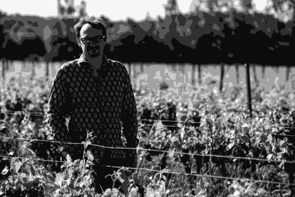 Winemaker Cyril Cuche standing among the vines at Château Puech Redon