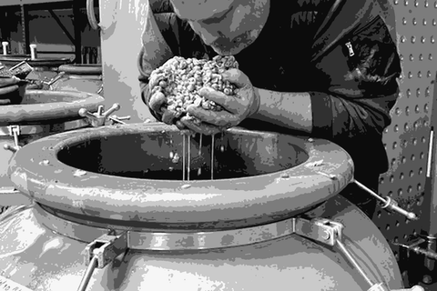 Craig Weicker, owner and winemaker of Civic Winery in Eugene, Oregon, working with clay amphorae