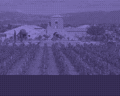 Black and white portrait of Giusto Occhipinti at COS Winery, Sicily, highlighting natural wine craftsmanship.