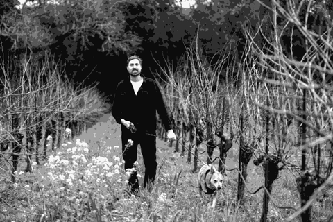 Jack Sporer of Fres.Co walking through a Sonoma Valley vineyard with his dog