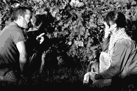 Domaine Calvez Bobinet — natural wine producer