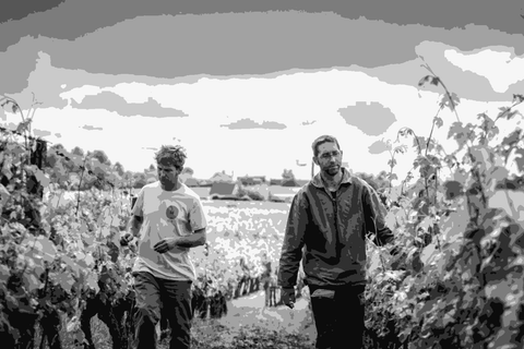 Brothers Cyril and Fabien Boisard of Domaine du Mortier walking in their vineyard