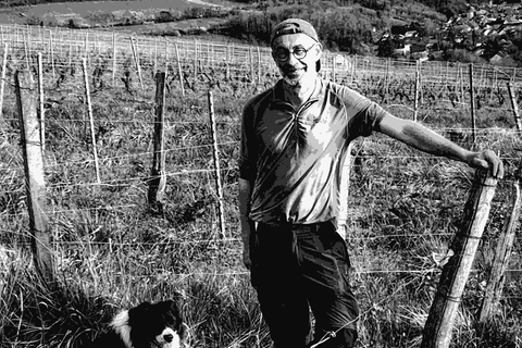 Yves Roy of Domaine Nøvice standing with his dog among the vines near Poligny in the Jura
