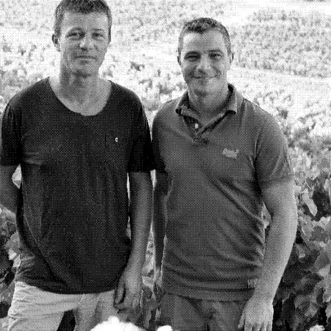 Henri and Philippe Leydier, natural wine producers, in their vineyard at Domaine de Durban in Beaumes-de-Venise, Rhone, France