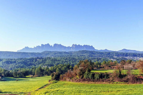 Catalonia Spain, Montserrat Mountain, Natural Wine, Primal Wine - primalwine.com