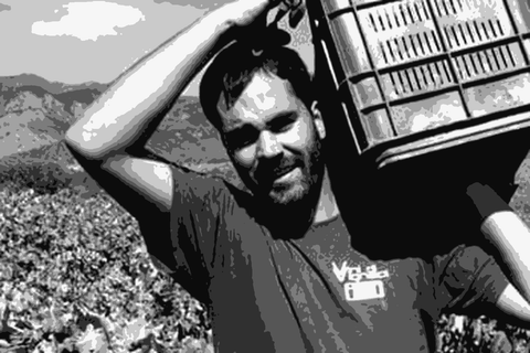 Winemaker Eduardo Torres Acosta carrying a harvest crate in his Etna vineyard