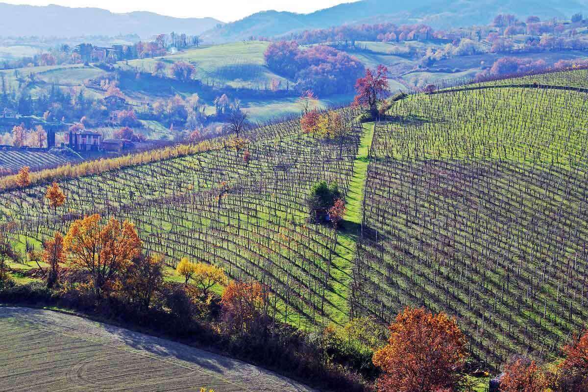 Emilia-Romagna landscape, Italian wine region, Northern Italy, Natural Wine, Primal Wine - primalwine.com