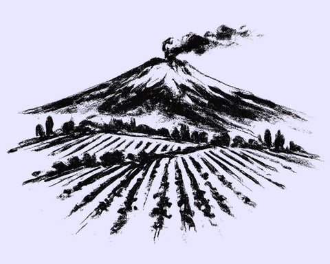Pencil color illustration of Mount Etna - primalwine.com