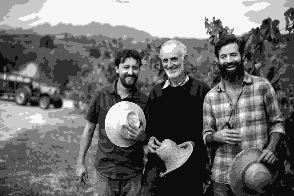 Three men of the Parera family standing among the vines at Finca Parera in Penedes