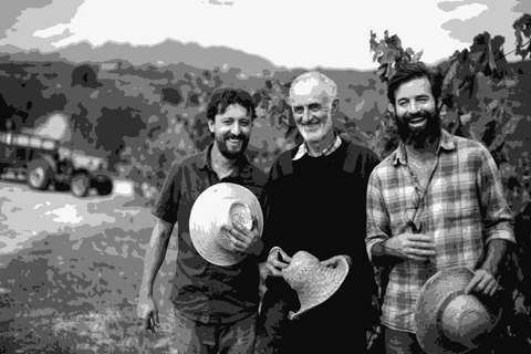 Three men of the Parera family standing among the vines at Finca Parera in Penedes