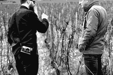 François de Nicolay (right) talking in the vineyard in Burgundy