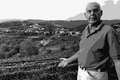Josko Gravner in his vineyard in Oslavia, Collio
