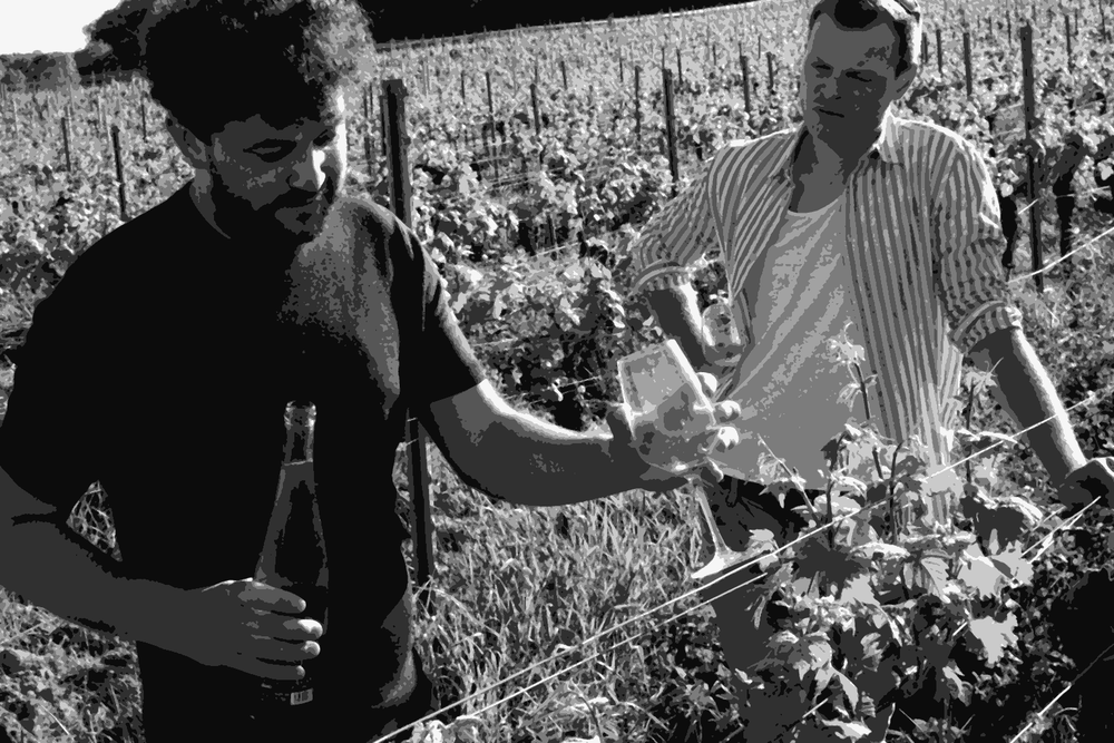 Hannes Bergdoll and Claudiu Dumea among the vines in South Pfalz, Germany