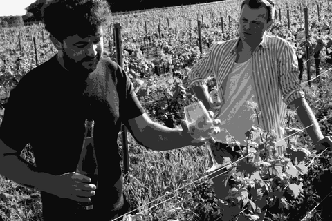 Hannes Bergdoll and Claudiu Dumea among the vines in South Pfalz, Germany
