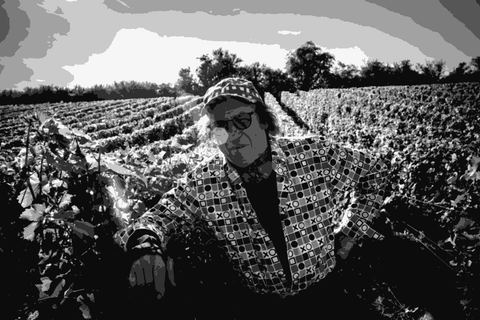 Jean-Pierre Robinot of L'Ange Vin standing in his Loire Valley vineyard