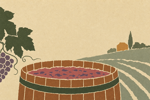 What is Alcoholic Fermentation?
