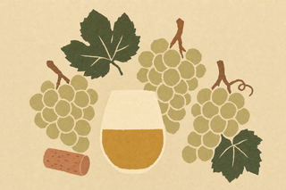 How White Wine Is Made: The Complete Guide From Grape to Glass