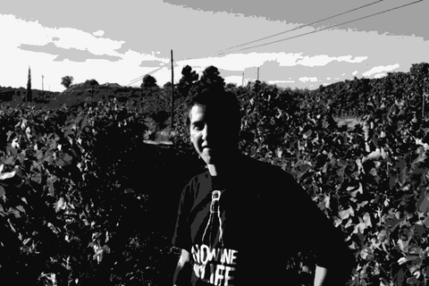 Alex Craighead of Kindeli standing in a vineyard in Nelson, New Zealand